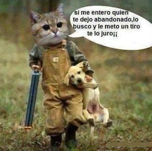 Meet your Posher, Juan